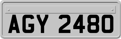 AGY2480