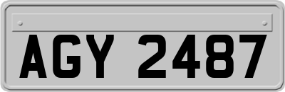 AGY2487