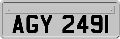 AGY2491