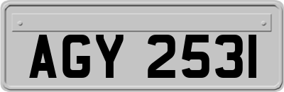 AGY2531