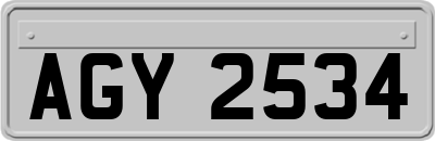 AGY2534