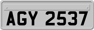 AGY2537