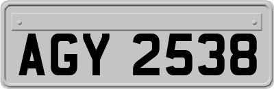 AGY2538