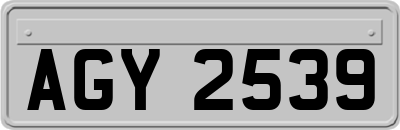 AGY2539