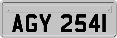 AGY2541