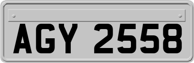 AGY2558