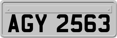 AGY2563