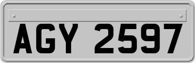 AGY2597