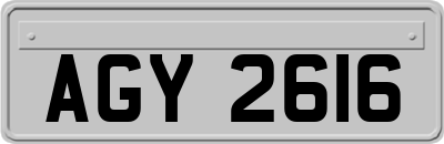 AGY2616