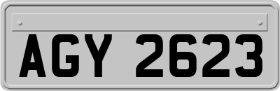 AGY2623