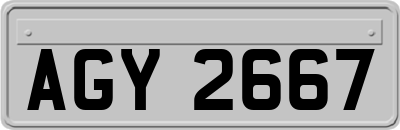 AGY2667