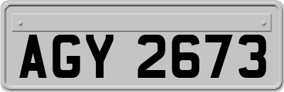 AGY2673