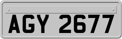 AGY2677