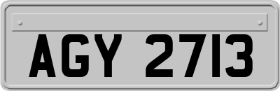 AGY2713
