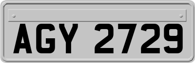 AGY2729