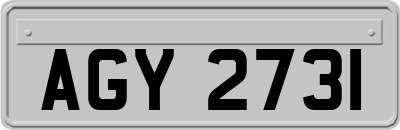 AGY2731
