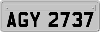 AGY2737