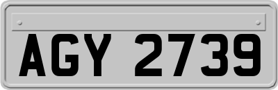 AGY2739