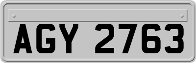 AGY2763