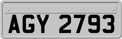 AGY2793