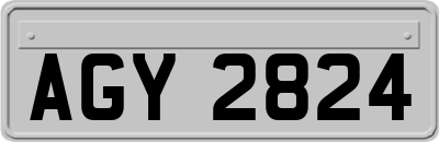 AGY2824
