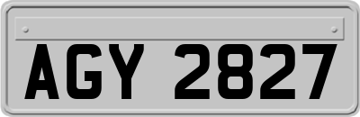 AGY2827