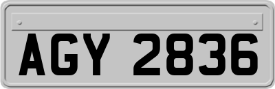 AGY2836