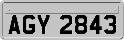 AGY2843