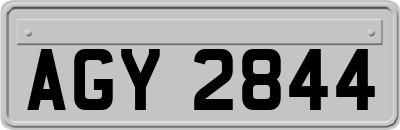 AGY2844