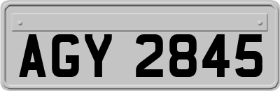 AGY2845