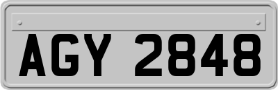 AGY2848