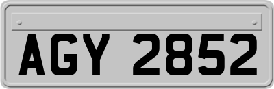 AGY2852