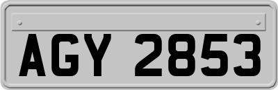 AGY2853