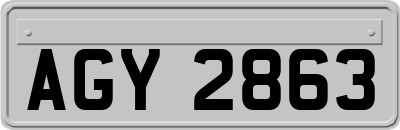 AGY2863