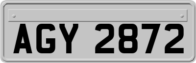 AGY2872