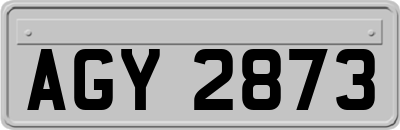 AGY2873