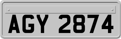 AGY2874