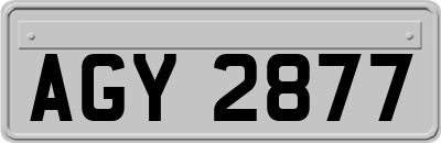 AGY2877
