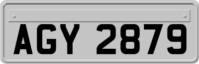 AGY2879