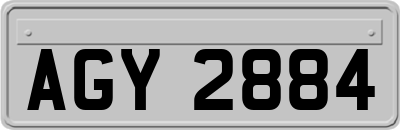 AGY2884