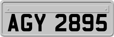 AGY2895