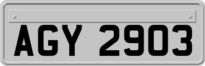 AGY2903