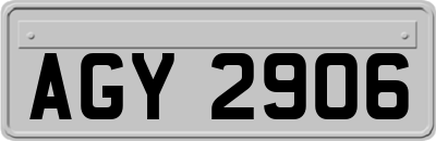 AGY2906