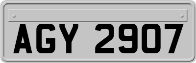AGY2907