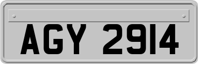 AGY2914