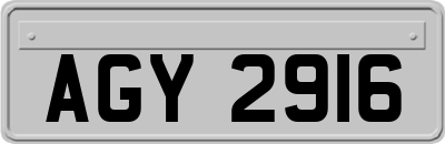 AGY2916