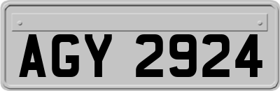 AGY2924