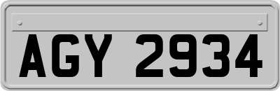 AGY2934