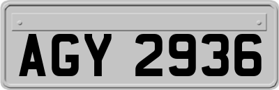 AGY2936