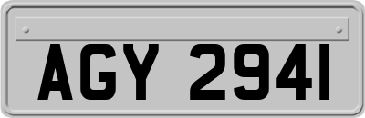 AGY2941